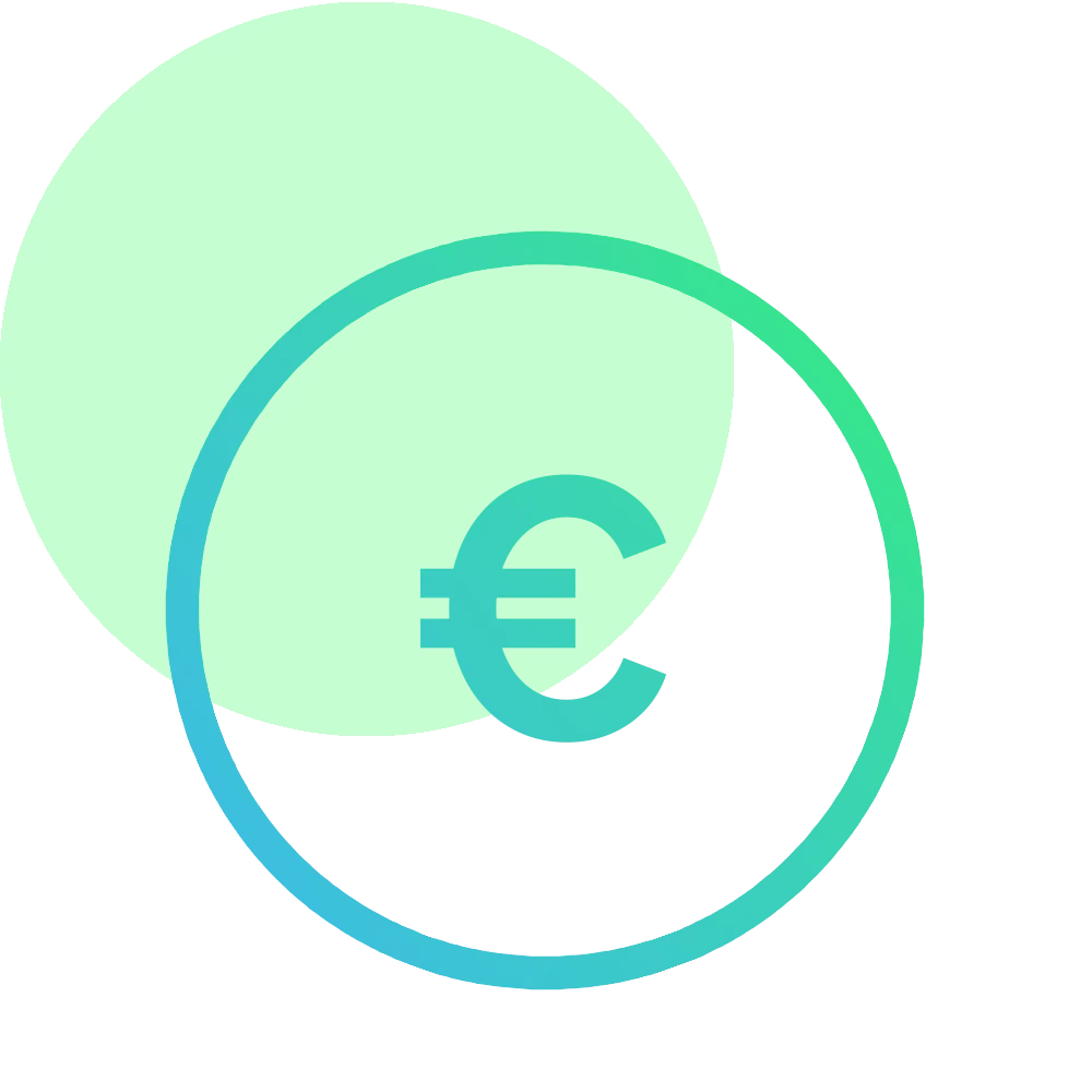 elsetech webentwicklung icon Kosten