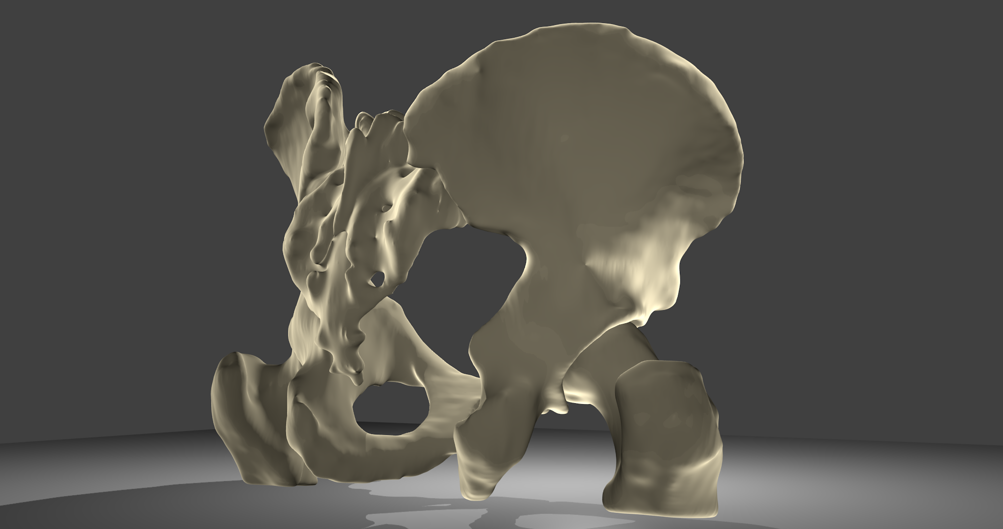 3D-Modell Beckenknochen:Beckenknochen mit Oberschenkelknochen und Kreuzbein, männlich. Ansicht von rechts hinten.