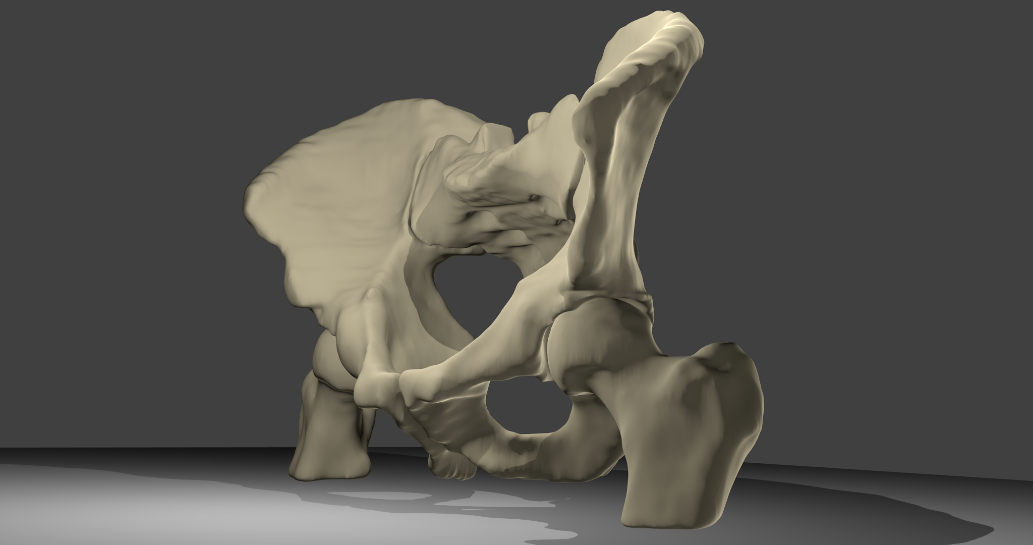 3D-Modell Beckenknochen:Beckenknochen mit Oberschenkelknochen und Kreuzbein, männlich. Ansicht von vorne links.