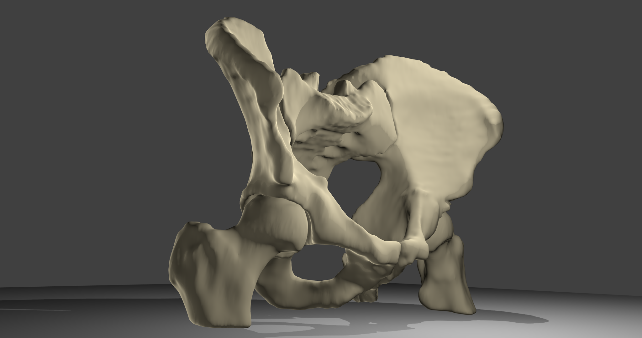 3D-Modell Beckenknochen:Beckenknochen mit Oberschenkelknochen und Kreuzbein, männlich. Ansicht von vorne.