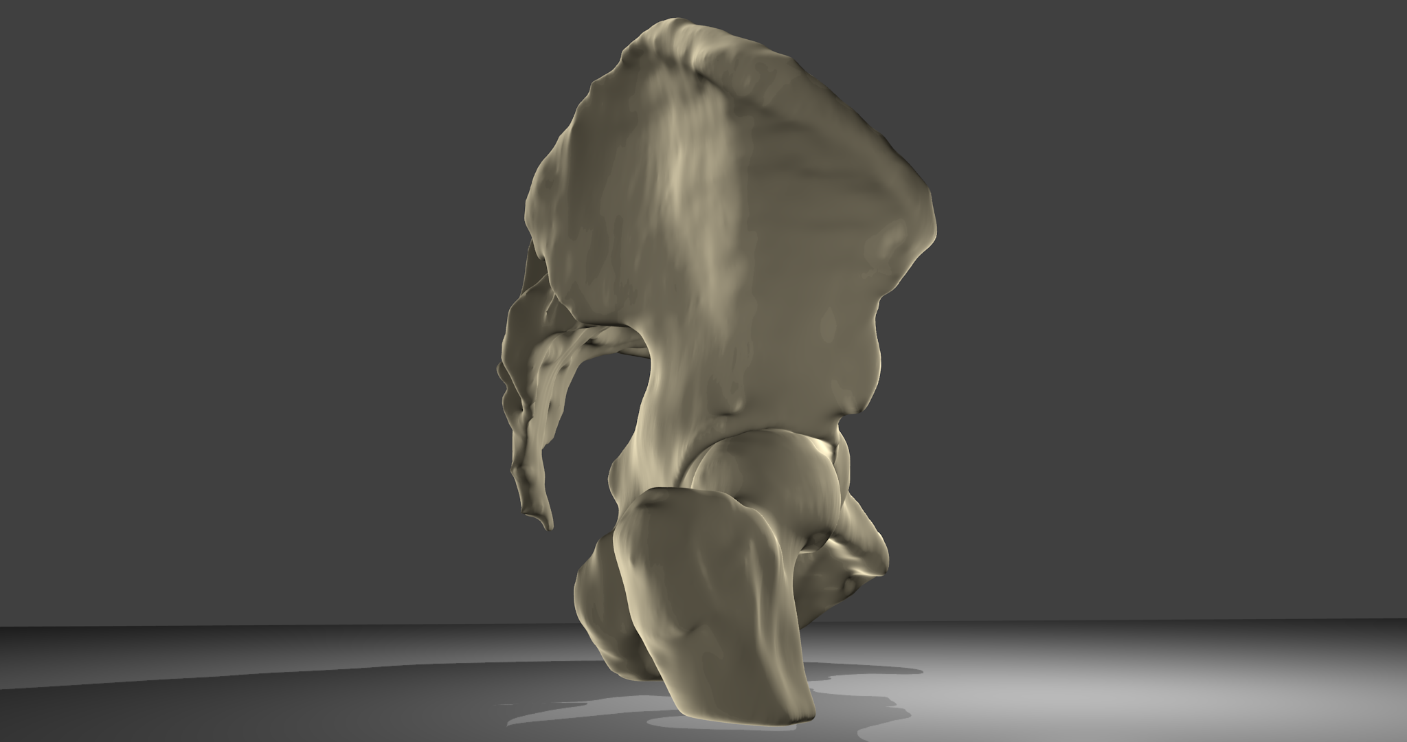 3D-Modell Beckenknochen:Beckenknochen mit Oberschenkelknochen und Kreuzbein, männlich. Ansicht von rechts.