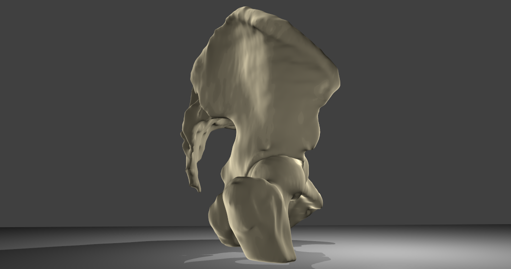 3D-Modell BeckenknochenBeckenknochen mit Oberschenkelknochen und Kreuzbein, männlich. Übersichtsbild, Ansicht von rechts.
