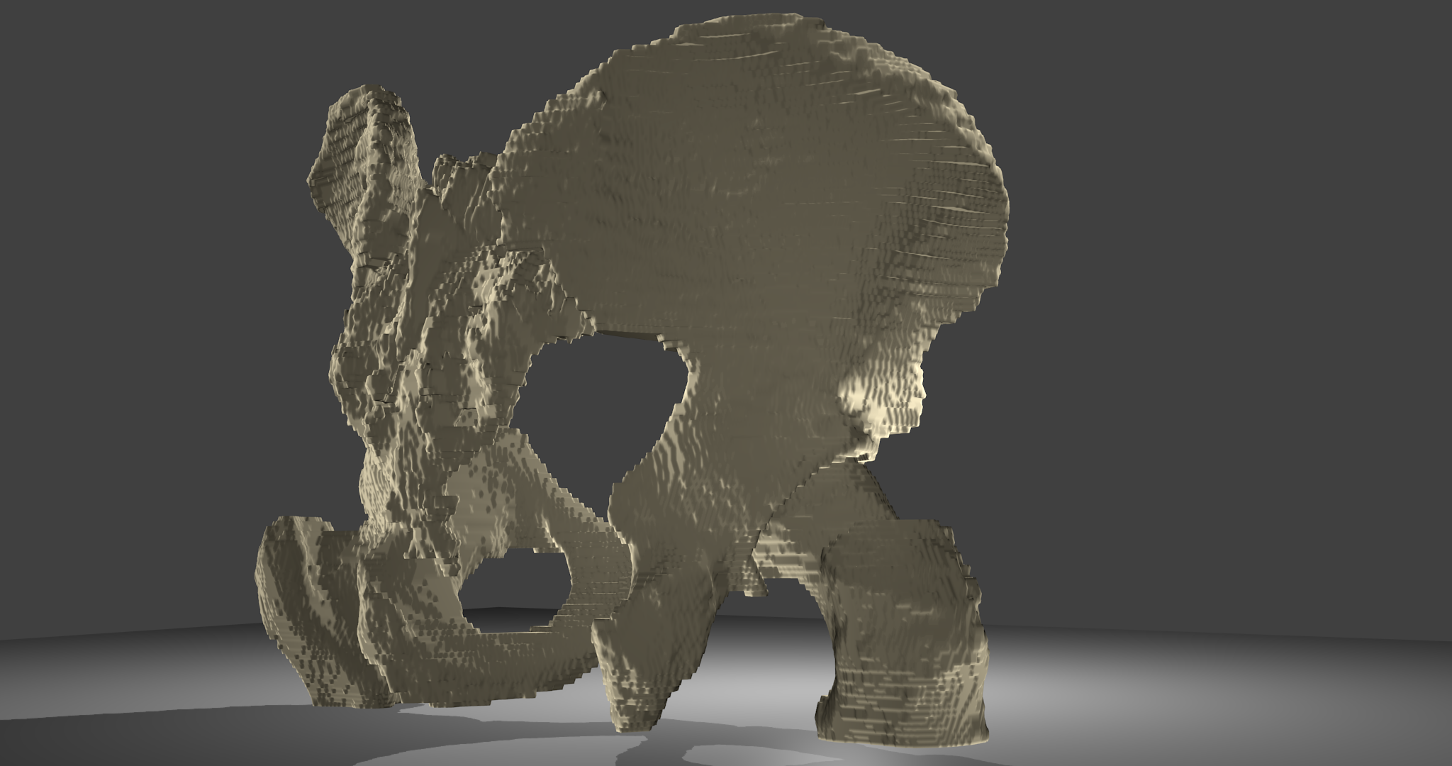 3D-Modell Beckenknochen:Beckenknochen mit Oberschenkelknochen und Kreuzbein, männlich. Voxelmodell, Ansicht von rechts hinten.